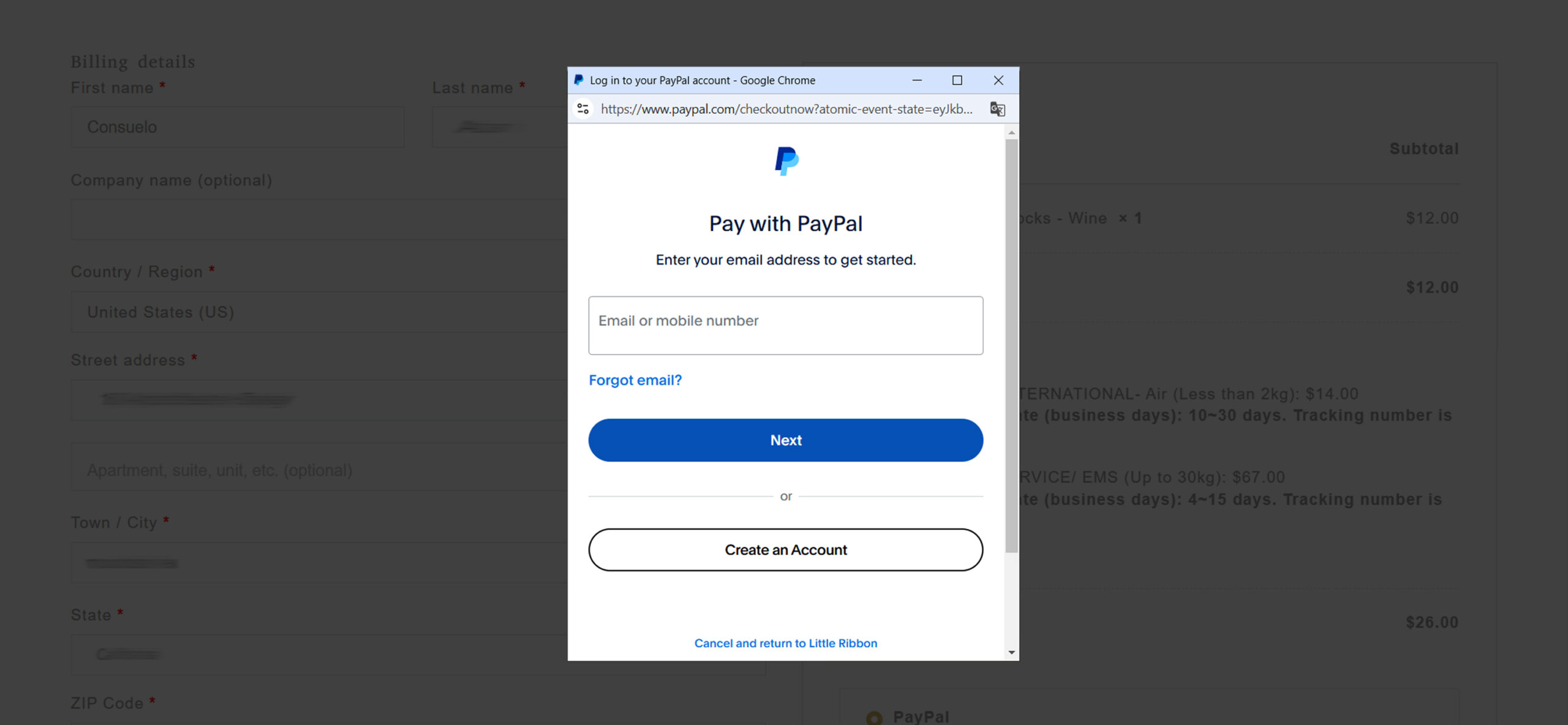 Payment & Shopping Guide Paypal button at Little RIbbon.cl