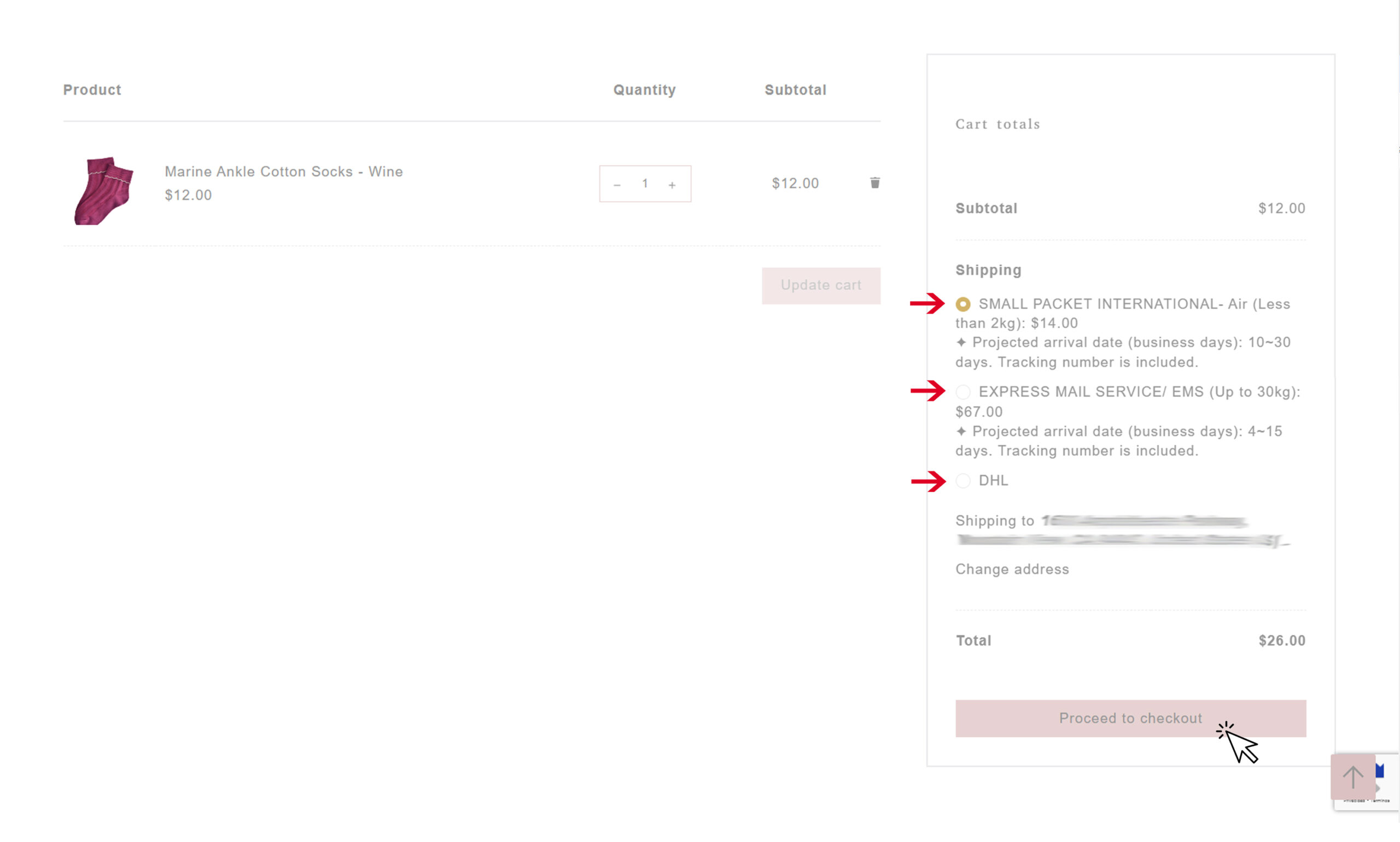 Payment & Shopping Guide Proceed to checkout at Little Ribbon.cl