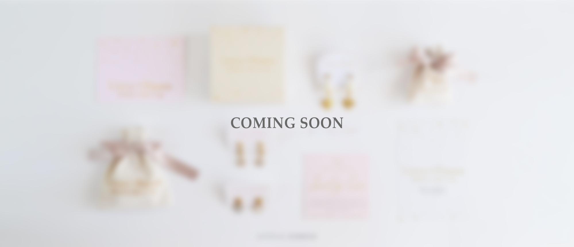 Little Ribbon Branding Packaging WEB