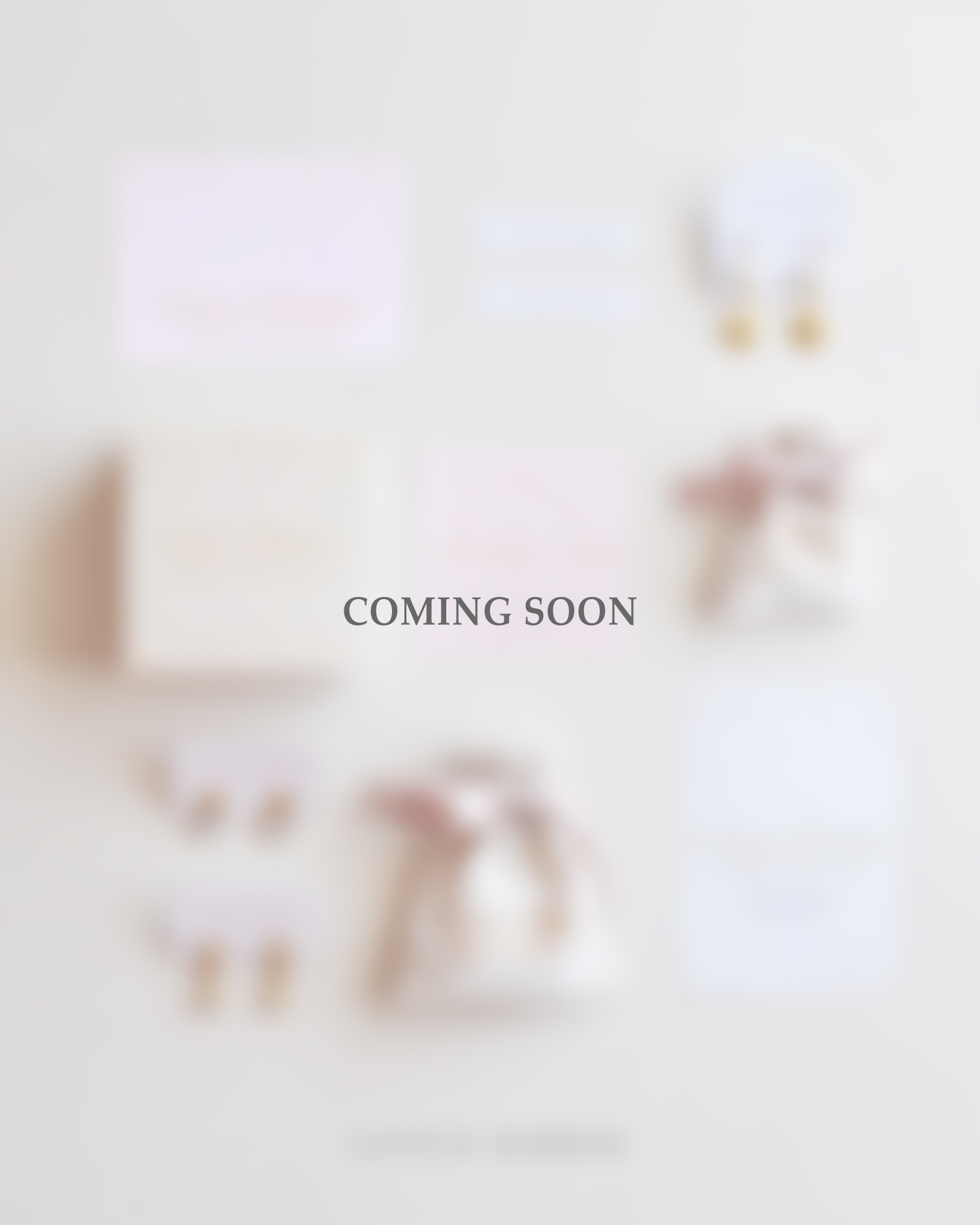 Little Ribbon Branding Packaging vertical MOBIL