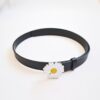 Taobao Daisy Belt